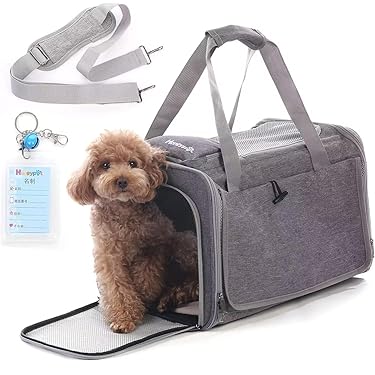 Amazon.co.jp 売れ筋ランキング: undefined の中で最も人気のある商品です